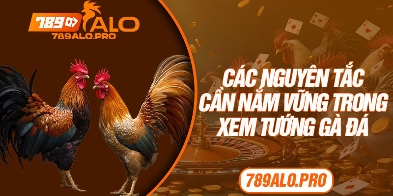 Các Nguyên Tắc Cần Nắm Vững Trong Xem Tướng Gà Đá