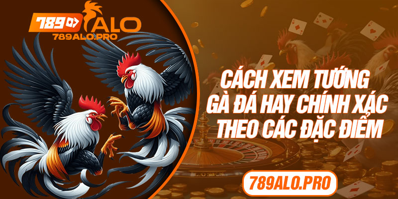 Cách Xem Tướng Gà Đá Hay Chính Xác Theo Các Đặc Điểm