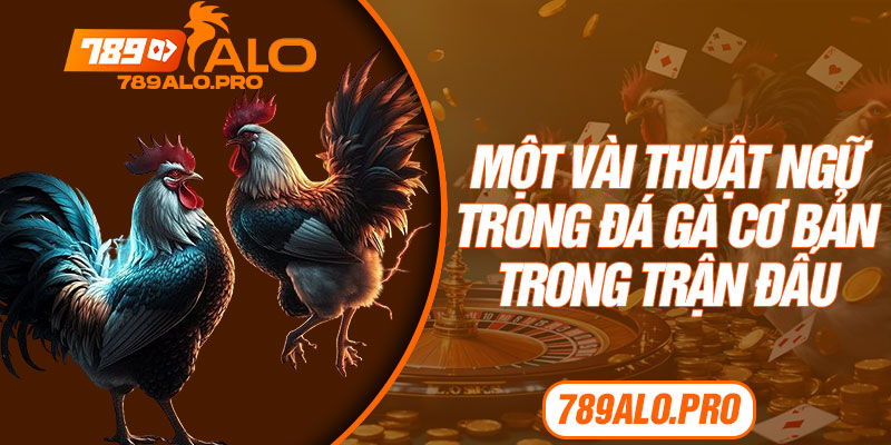 Một Vài Thuật Ngữ Trong Đá Gà Cơ Bản Trong Trận Đấu