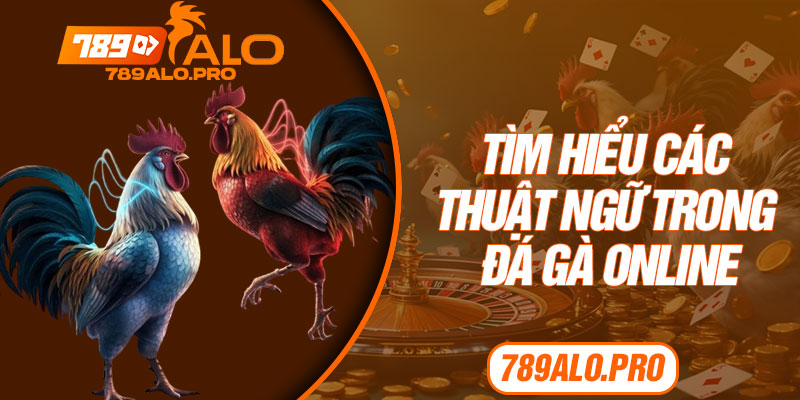 Tìm Hiểu Các Thuật Ngữ Trong Đá Gà Online