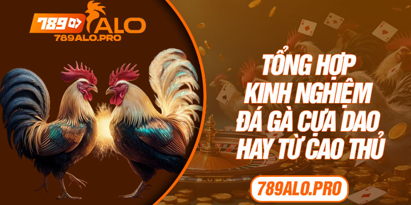 Tổng Hợp Kinh Nghiệm Đá Gà Cựa Dao Hay Từ Cao Thủ