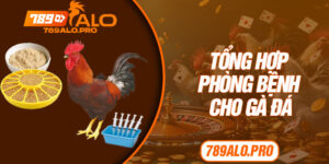 Tổng Hợp Phòng Bệnh Cho Gà Đá