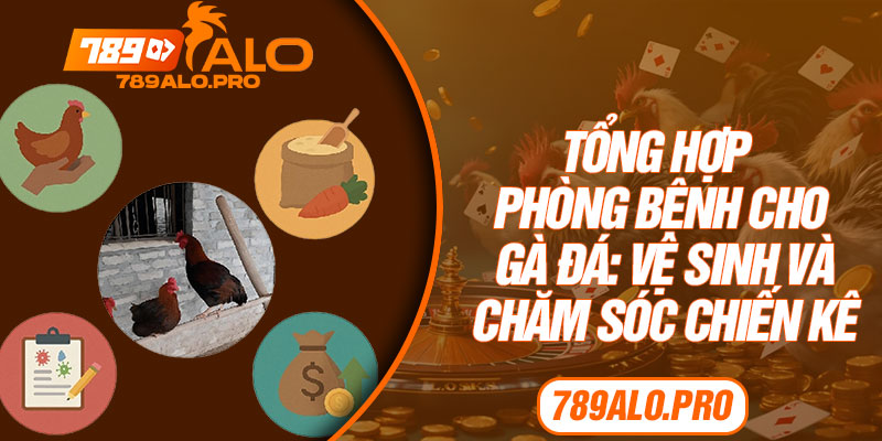 Tổng Hợp Phòng Bệnh Cho Gà Đá: Vệ Sinh Và Chăm Sóc Chiến Kê