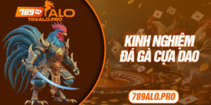 Kinh Nghiệm Đá Gà Cựa Dao