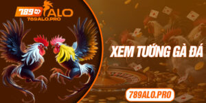 Xem Tướng Gà Đá