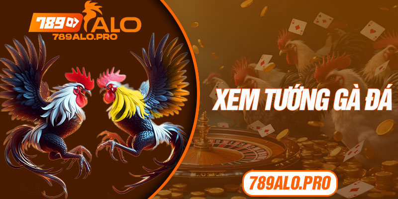 Xem Tướng Gà Đá